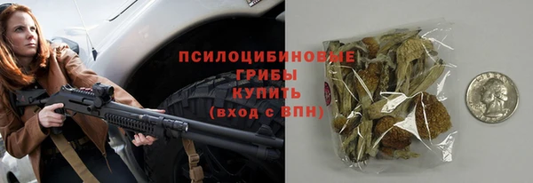 прущие крисы Няндома