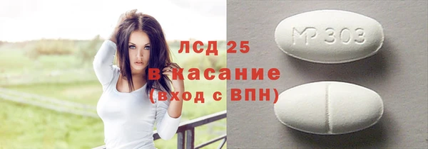 шишки Осинники
