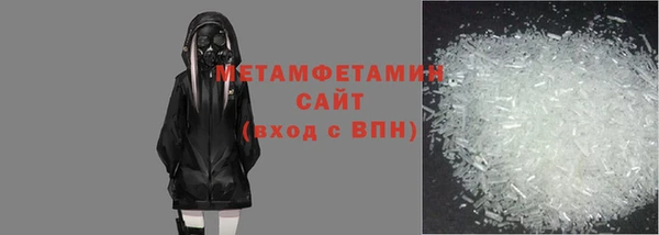 шишки Осинники
