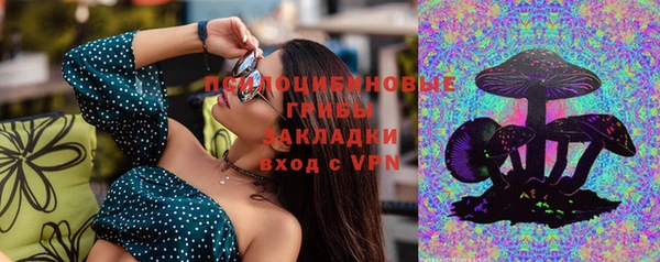 прущие крисы Няндома