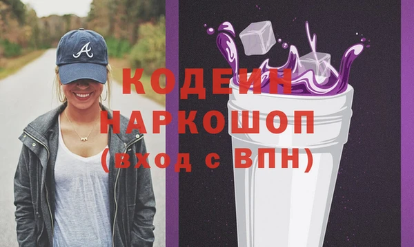 шишки Осинники