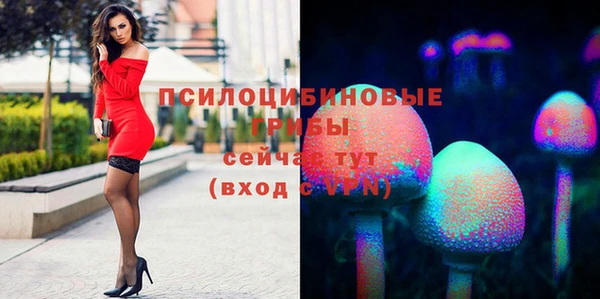 МДПВ Остров