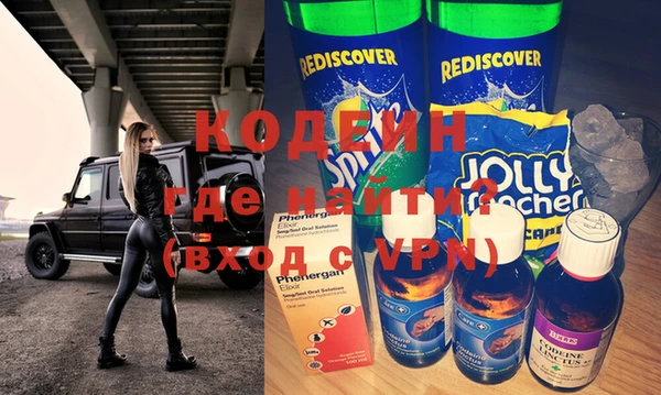 шишки Осинники