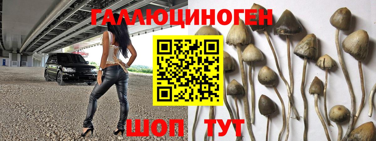 Лесозаводск  Галлюциногенные грибы мухоморы  Галлюциногенные грибы MAGIC MUSHROOMS  Вход с VPN 