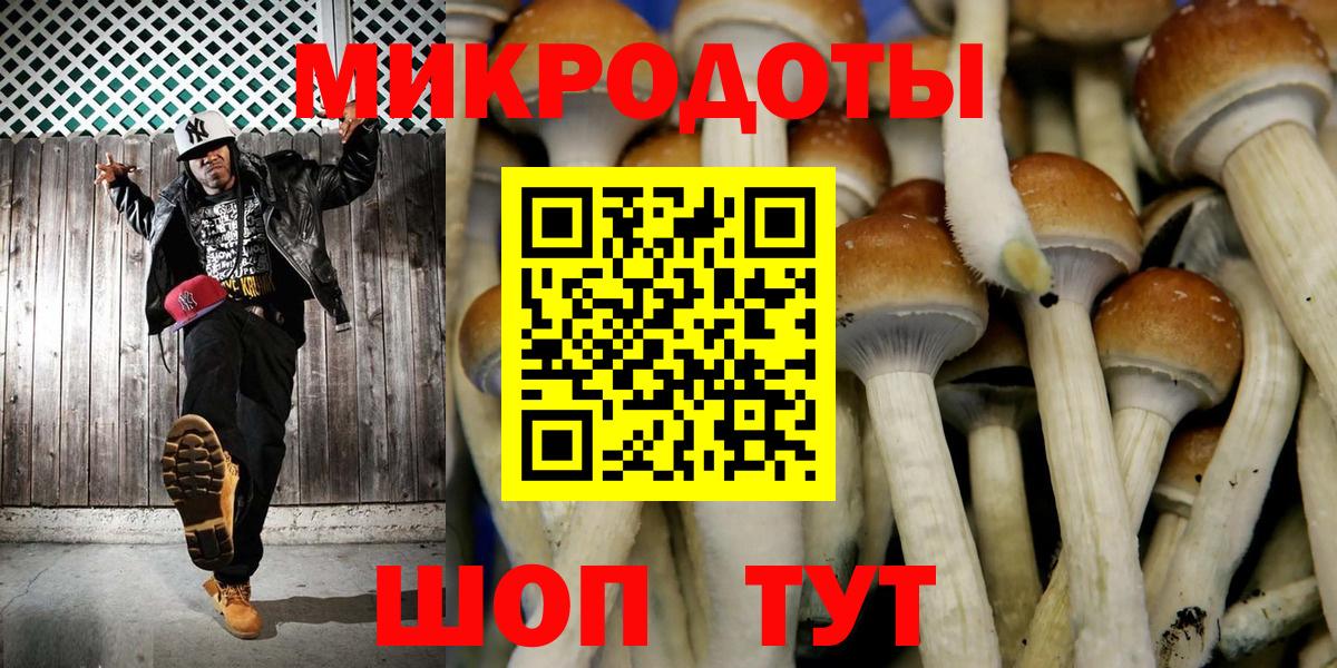 Псилоцибиновые грибы прущие грибы Лесозаводск