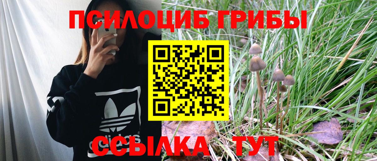 Галлюциногенные грибы Psilocybine cubensis  Псилоцибиновые грибы мухоморы  цена наркотик  Лесозаводск 